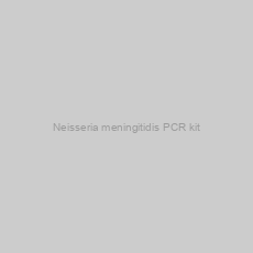 Image of Neisseria meningitidis PCR kit
